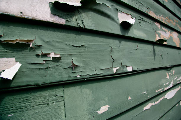 Best Commercial Junk Removal  in Magee, MS